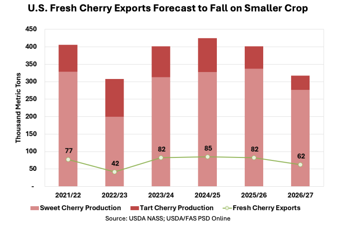 US cherry exports